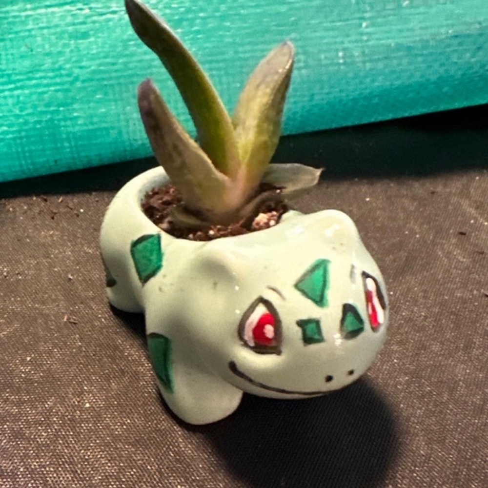 Bulbie Hand Painted Planter